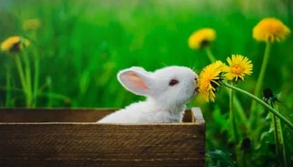 爱游戏体育app-利比亚队惊险逼平，突尼斯队难抵压力，突尼斯 利比亚难民