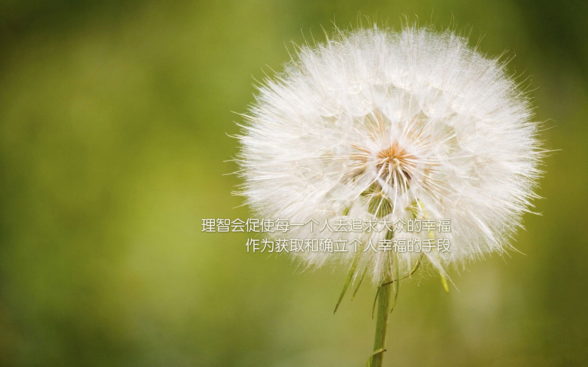 特色篮球城主题公园在全国多地落成，推广体育娱乐融合，篮球公园开放时间