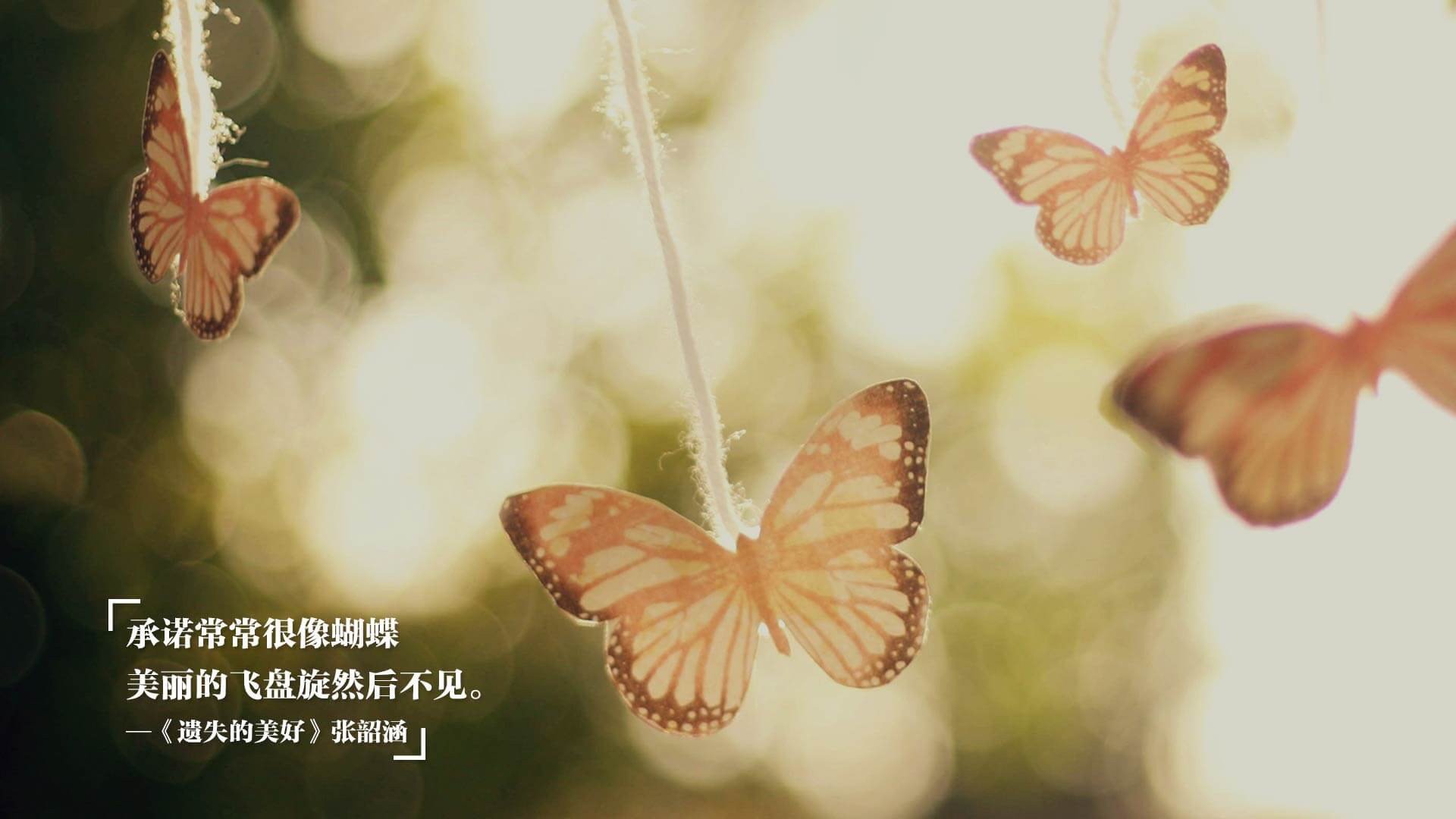 职业球员缺乏国际赛事实战经验,职业球员缺乏国际赛事实战经验的原因