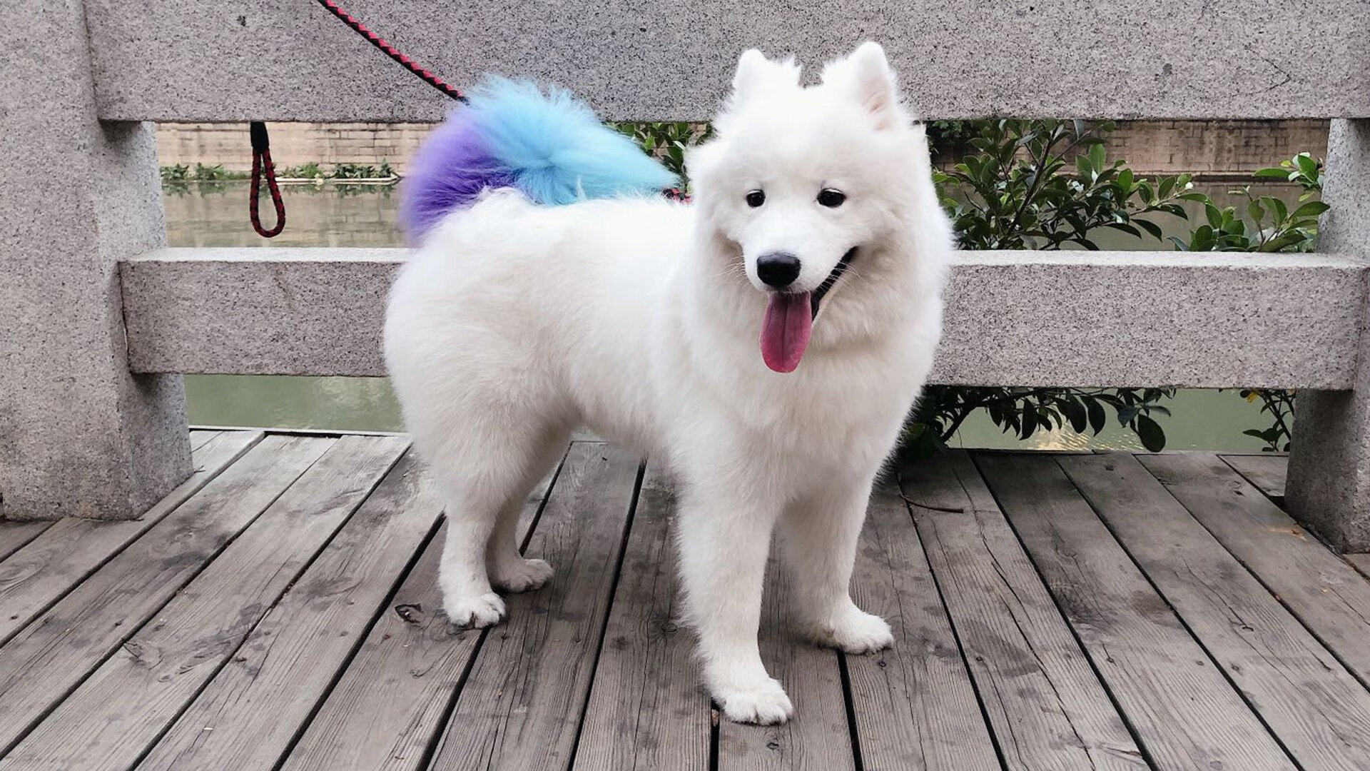 高强度节奏比赛是否对控卫压力最大,节奏榜和强度榜