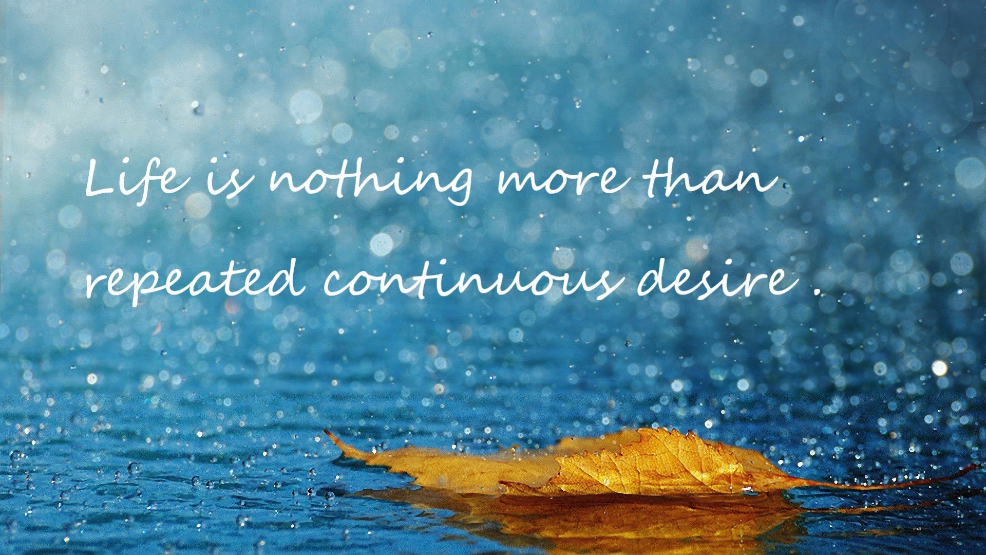 乌拉圭女篮在南美锦标赛中继续闪耀,迈向更广阔的舞台,乌拉圭女子篮球联赛