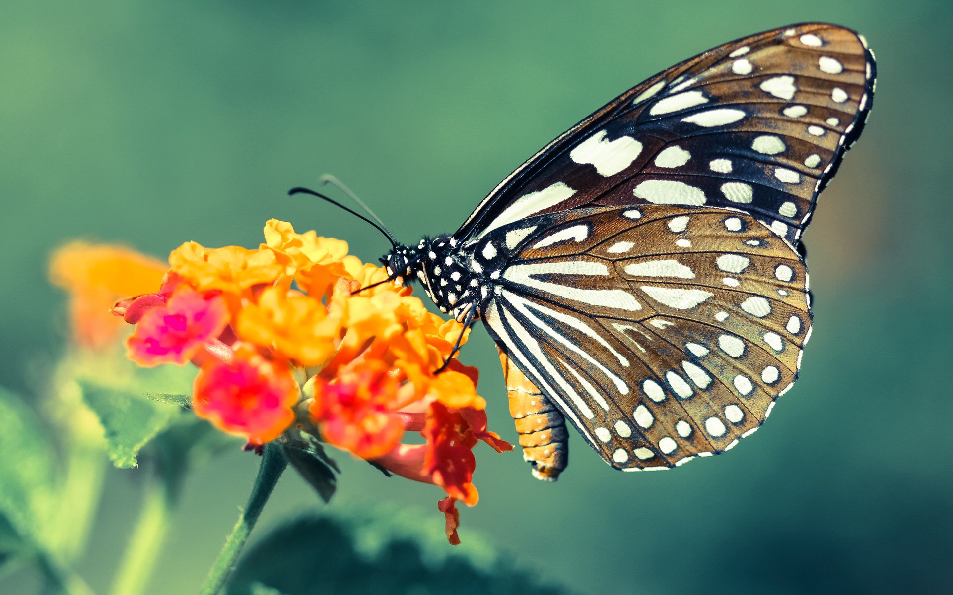 热火新赛季口号公布突出精神属性,新赛季热火首发