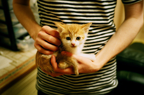 玛丽亚纳男篮在中美洲锦标赛中奋发图强,逐梦世界