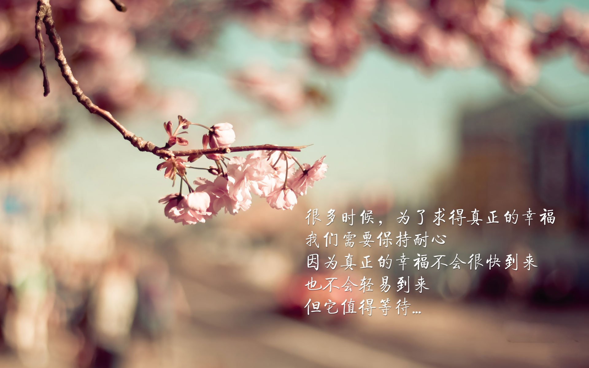 爱游戏 电竞-青训教练纳入执教风格评估促进教学多样性，职业梯队青训教练招聘